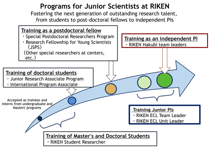 programs for junior scientists at riken