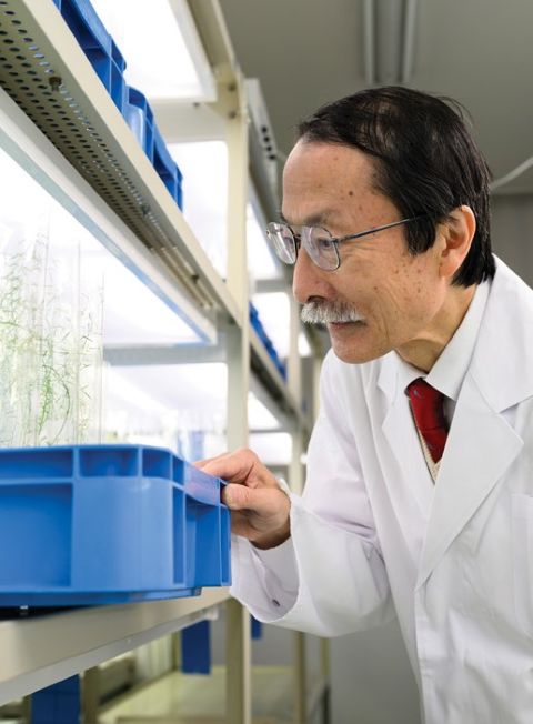 Picture of Masatomo Kobayashi