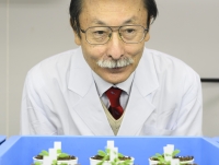Picture of Masatomo Kobayashi 