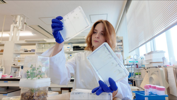 Picture of Amelie Ducloy