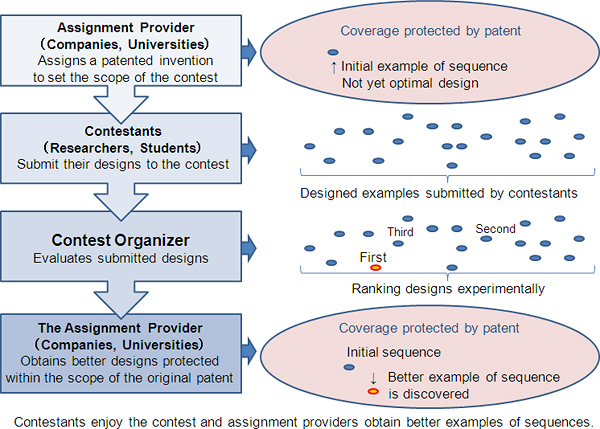 Flow chart of the reseach