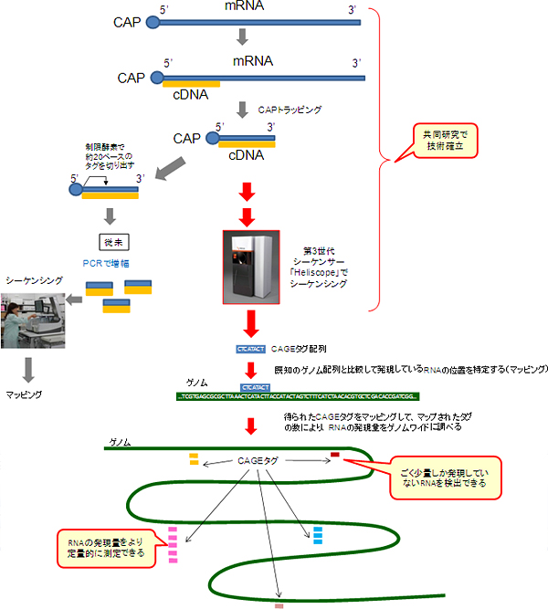CAGE法と共同研究の概要図