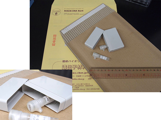 クローンを輸送する際に使用する器具と封筒の写真