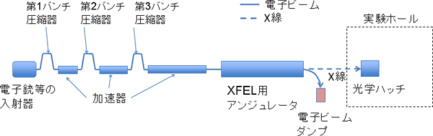 X線自由電子レーザーシステムの模式図の画像