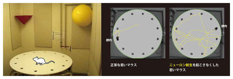 避難場所記憶テストの図