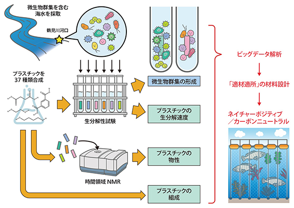 生物付着性プラスチックの研究の全体像の図