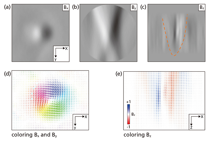 コーン形テクスチャーのベクトル場(B)の分布の図