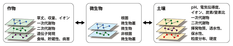 マルチオミクス解析のための測定項目の図