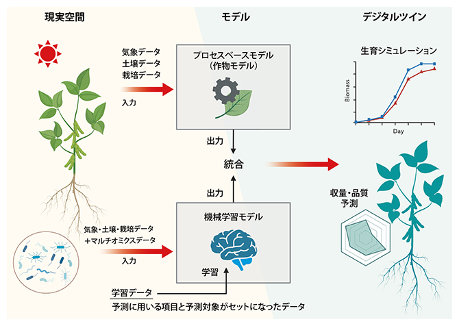 デジタルツイン農業の仕組みの図