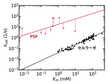 PSPとセルラーゼの基質親和性と酵素最大活性の関係の違いの図