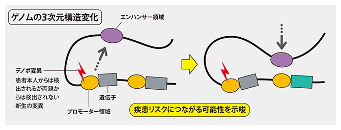 ASDリスクにつながるゲノムの3次元構造（TAD）の変化の図