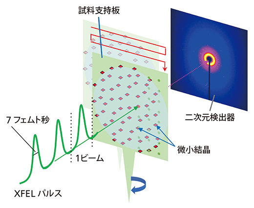 XFELによるX線回折データ測定方法の図