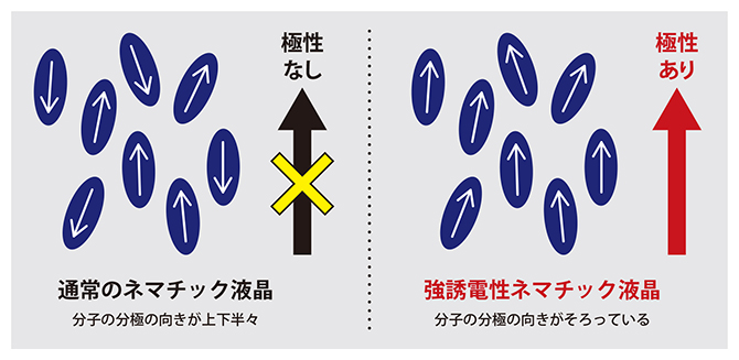 通常のネマチック液晶と強誘電性ネマチック液晶の違いの図
