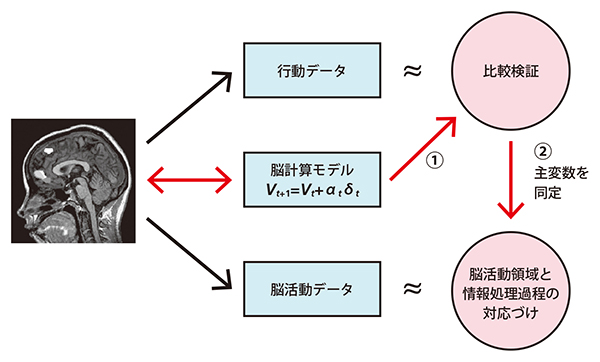 脳計算モデルの解析手法の図