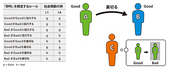 協力を安定に維持する社会規範の一例の図