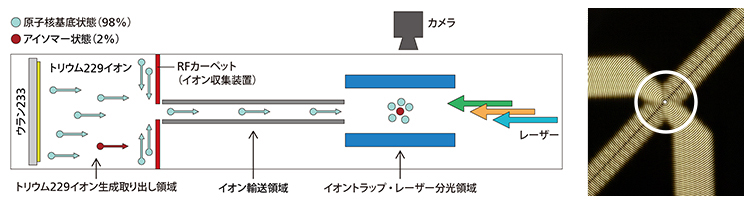 今回の実験で開発したイオントラップ装置の概念図の画像