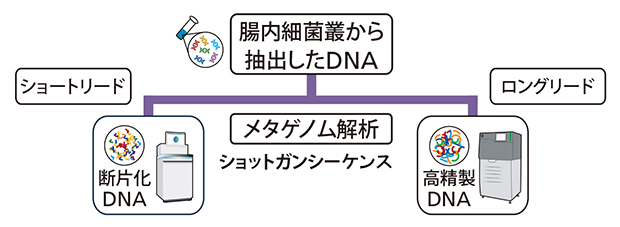 研究チームが開発したメタゲノム解析の手法の図
