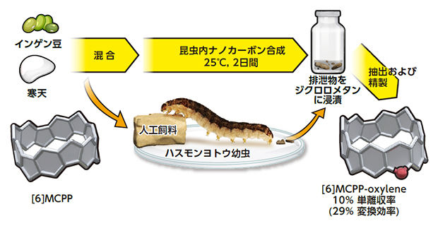 ハスモンヨトウ幼虫による昆虫内ナノカーボン合成の図