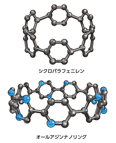 シクロパラフェニレンとオールアジンナノリングの違いの図