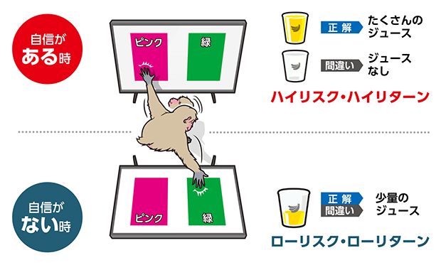 図1  マカクサルにおけるメタ認知の存在を明らかにした実験のイメージ図の画像