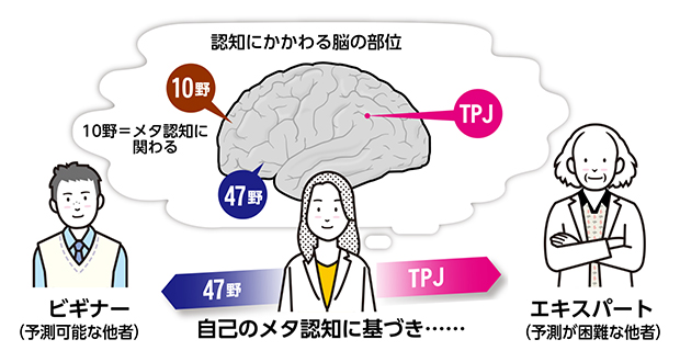 他者の思考を予測する際に用いる戦略の違いにより関与する脳の部位は異なるの図