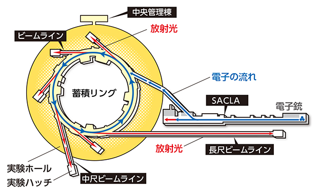 SPring-8の仕組みの図