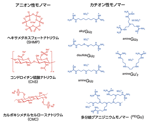 超分子プラスチック合成に使用されるモノマーの構造の図