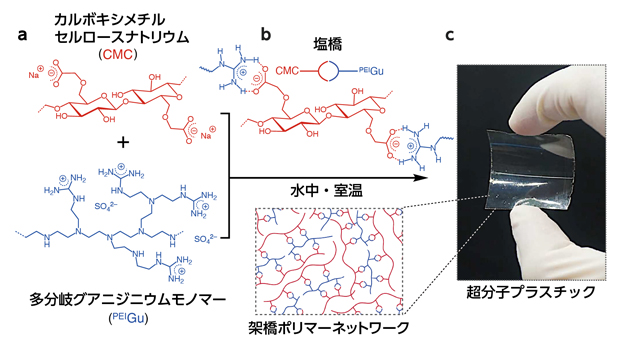 セルロースを原料とする超分子プラスチックの合成の図