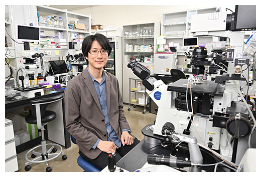 井上 梓の写真