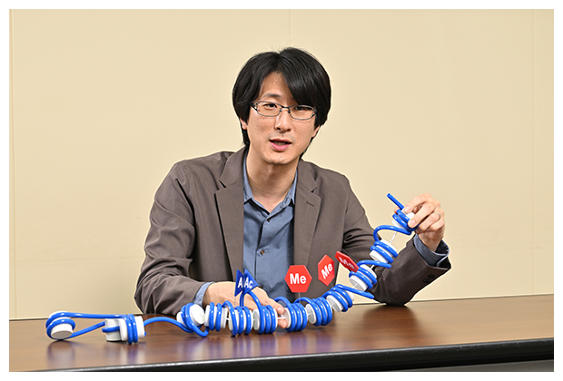 ヒストンの模型を使って説明する井上 チームディレクターの写真