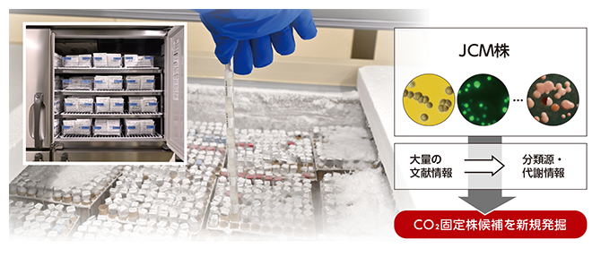 微生物資源を基盤としたCO?固定株候補の探索の図