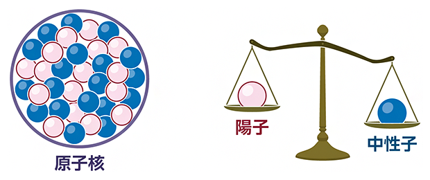原子核と中性子の図
