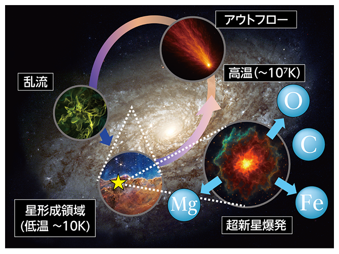 超新星爆発による銀河内でのガスの循環の図