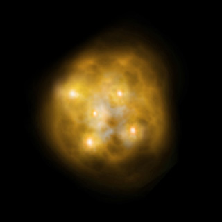 星の赤ちゃんの画像