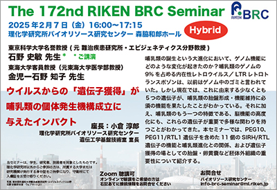 第172回理研BRCセミナーポスターの画像