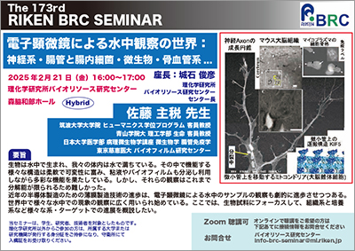 第173回理研BRCセミナーポスターの画像