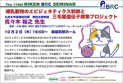 第178回理研BRCセミナーポスターの画像