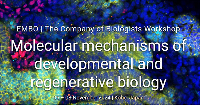 Photo of EMBO | COB Workshop “Molecular mechanisms of developmental and regenerative biology”