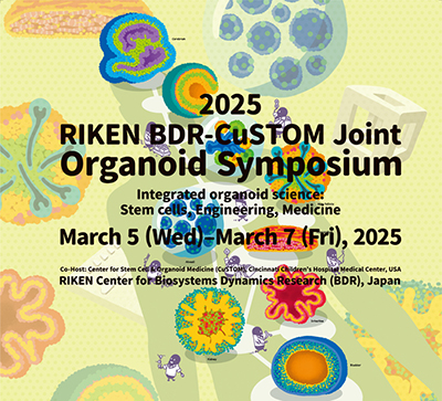 image of 2025 RIKEN BDR-CuSTOM Joint Organoid Symposium
