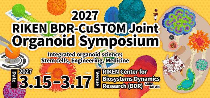2027 RIKEN BDR-CuSTOM Joint Organoid Symposiumのイメージ画像