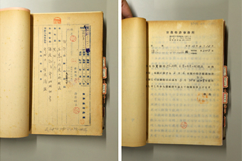 黒田チカ 抗酸化剤ケルセチン製法の特許資料の写真