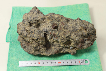 南極の石の写真