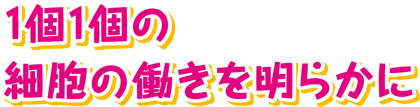 1個1個の細胞の働きを明らかに