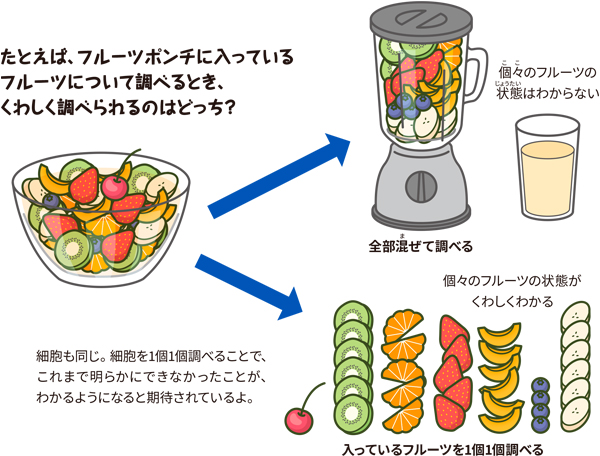 フルーツポンチをつかった例えの図