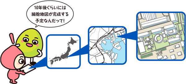 キャラクター「10年後ぐらいには細胞地図が完成する予定なんだって！」