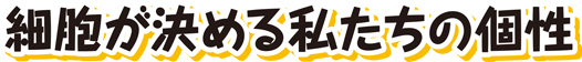 細胞が決める私たちの個性