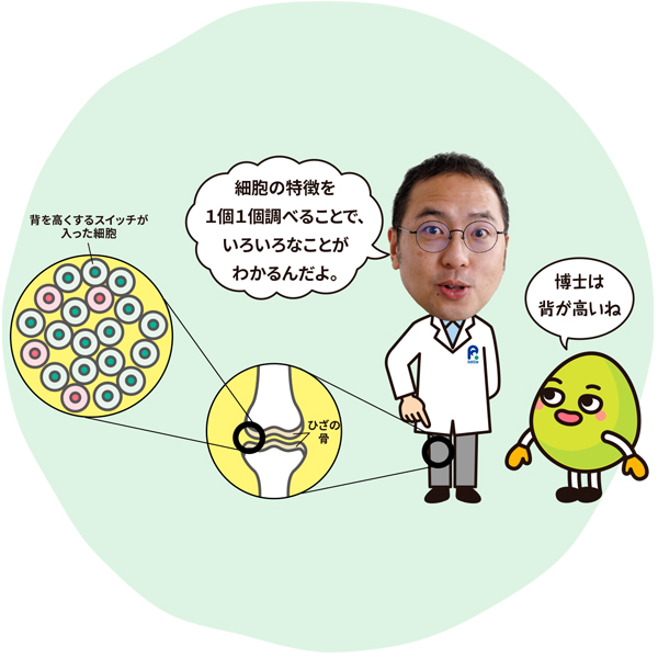 ホン 博士「細胞の特徴を1個1個調べることで、いろいろなことがわかるんだよ。」キャラクター「博士は背が高いね」