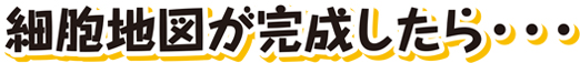 細胞地図が完成したら・・・