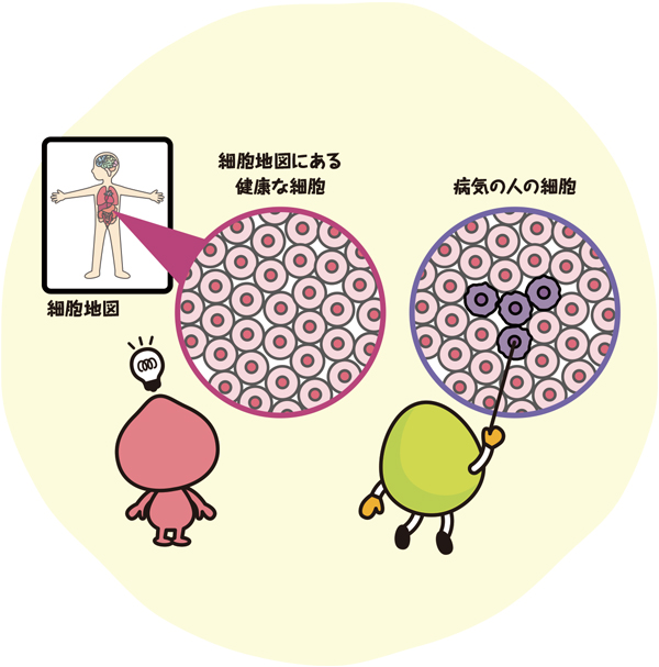 細胞地図にある健康な細胞、病気の人の細胞