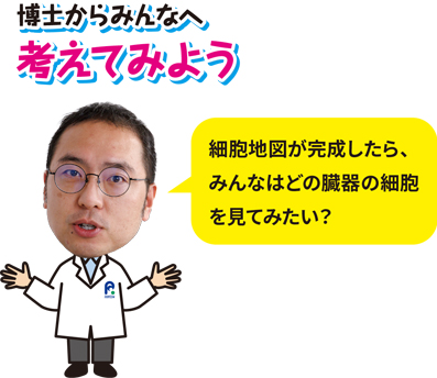 博士からみんなへ、考えてみよう「細胞地図が完成したら、みんなはどの臓器の細胞を見てみたい？」